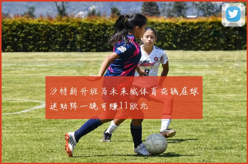 沙特新升班马未来城体育花钱雇球迷助阵一晚可赚11欧元