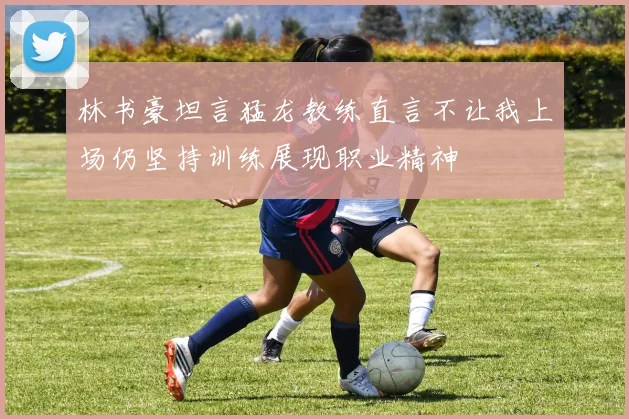 林书豪坦言猛龙教练直言不让我上场仍坚持训练展现职业精神