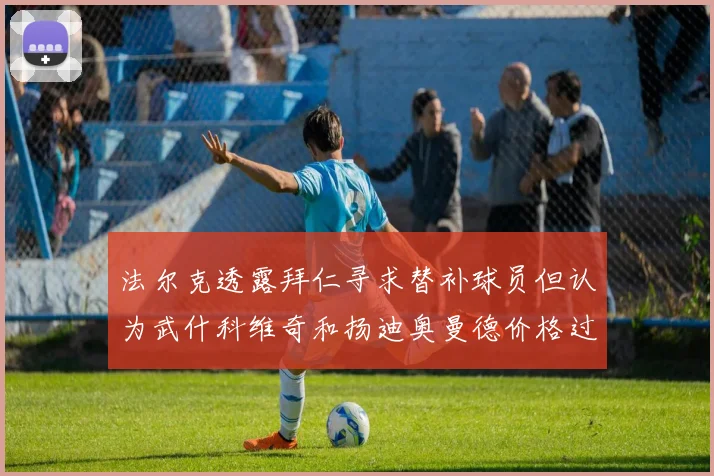 法尔克透露拜仁寻求替补球员但认为武什科维奇和扬迪奥曼德价格过高