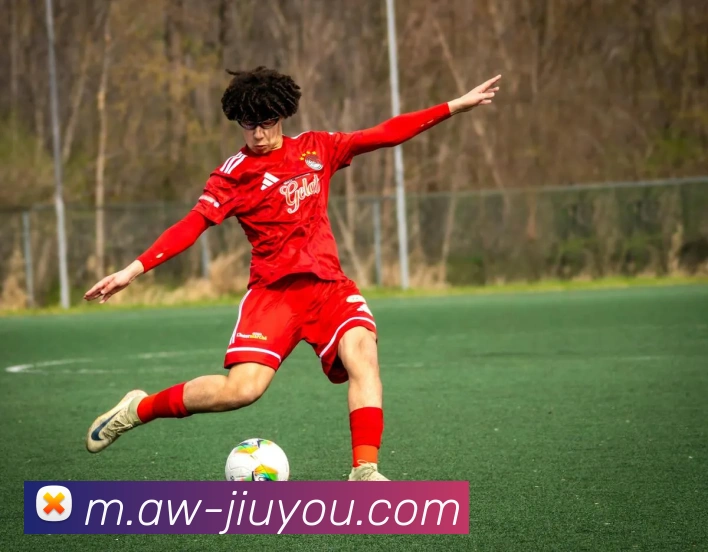 九游体育平台生态图